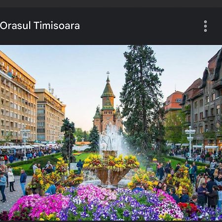 Apartament Lux Crialy - 75 M2 - Free Parking Timisoara Luaran gambar