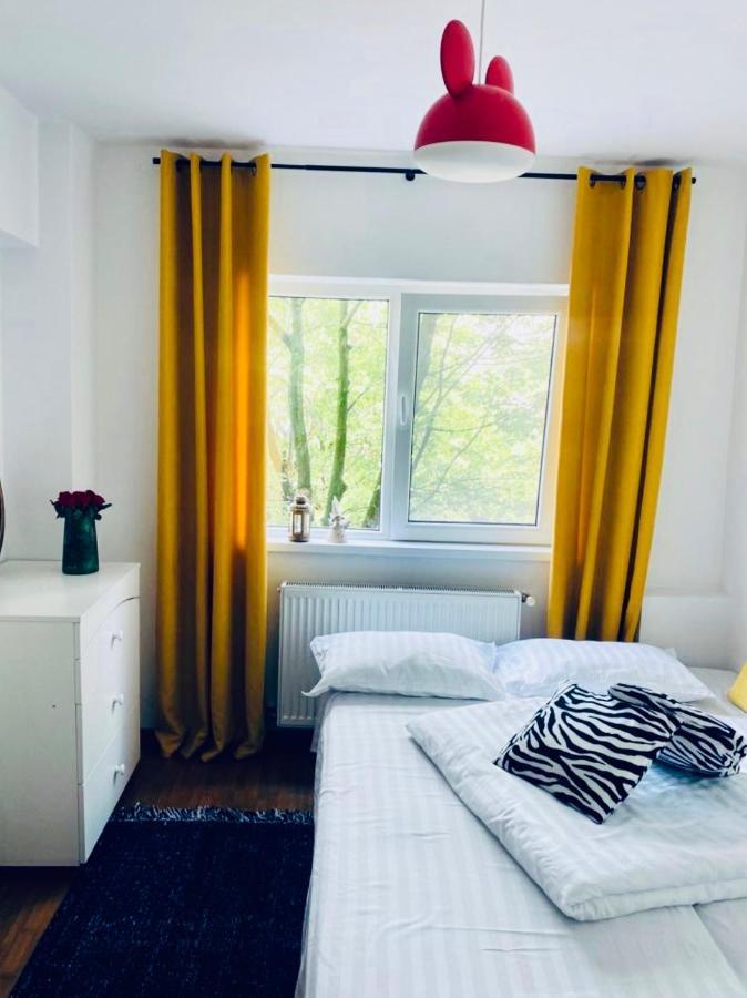 Apartament Lux Crialy - 75 M2 - Free Parking Timisoara Luaran gambar